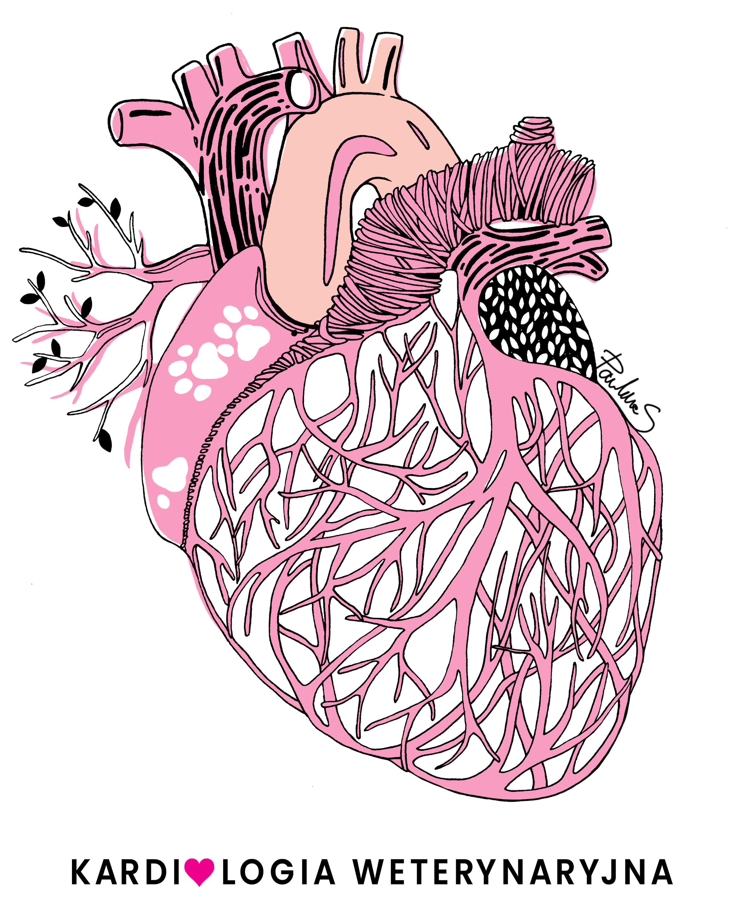 Kardiologia Weterynaryjna